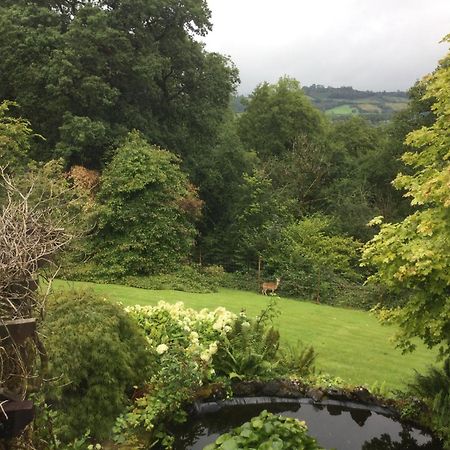 Dwynant - A Room With A View Llangathen Exterior photo