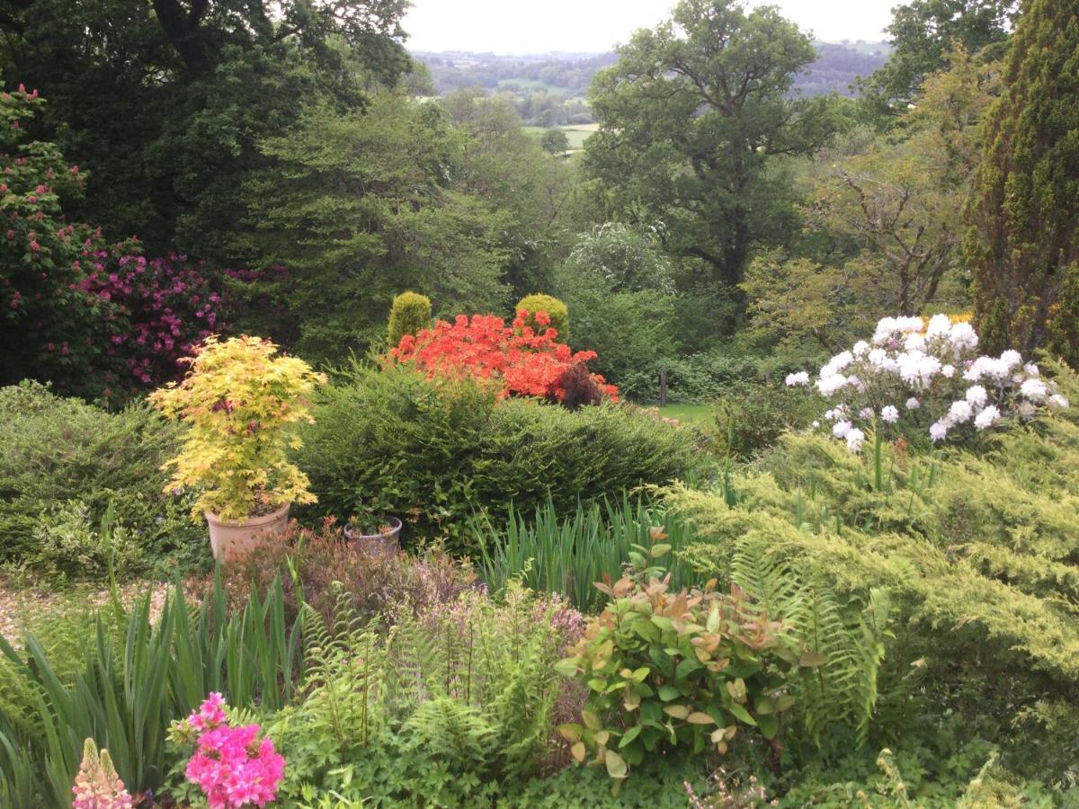 Dwynant - A Room With A View Llangathen Exterior photo